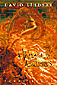A Voyage to Arcturus